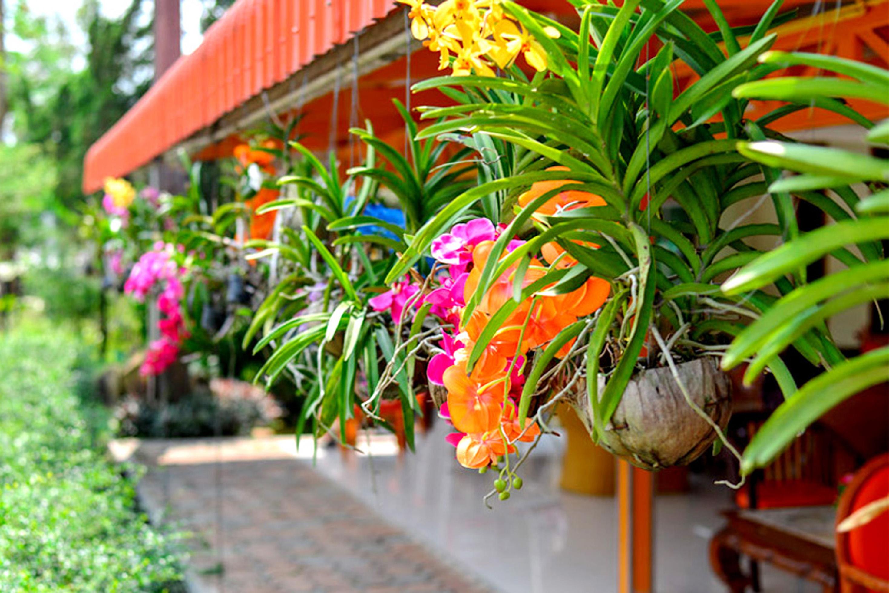 Koh Chang Resort Dış mekan fotoğraf